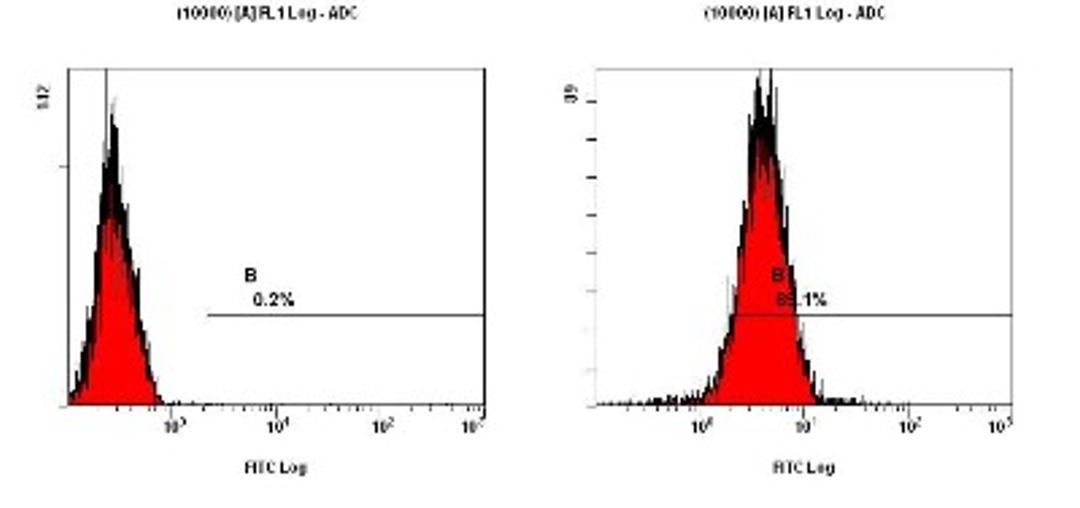 Flow Cytometry: Nestin Antibody (10C2) [NB300-266] - Staining of NTERA-2 cells using NB300-266 at a 1:50 dilution detected using DyLight-488 conjugated goat anti-mouse IgG secondary antibody.