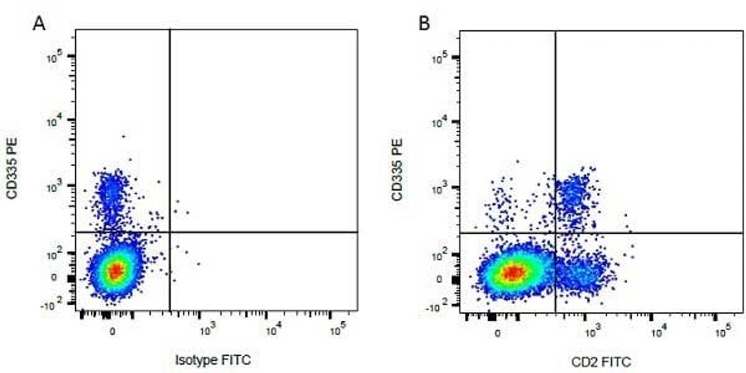 Figure A. mouse anti bovine CD335. Figure B. mouse anti bovine CD335 and mouse anti bovine CD2. 