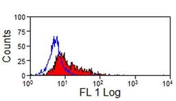 Staining of horse peripheral blood lymphocytes with Mouse anti Horse Pan B-Cells