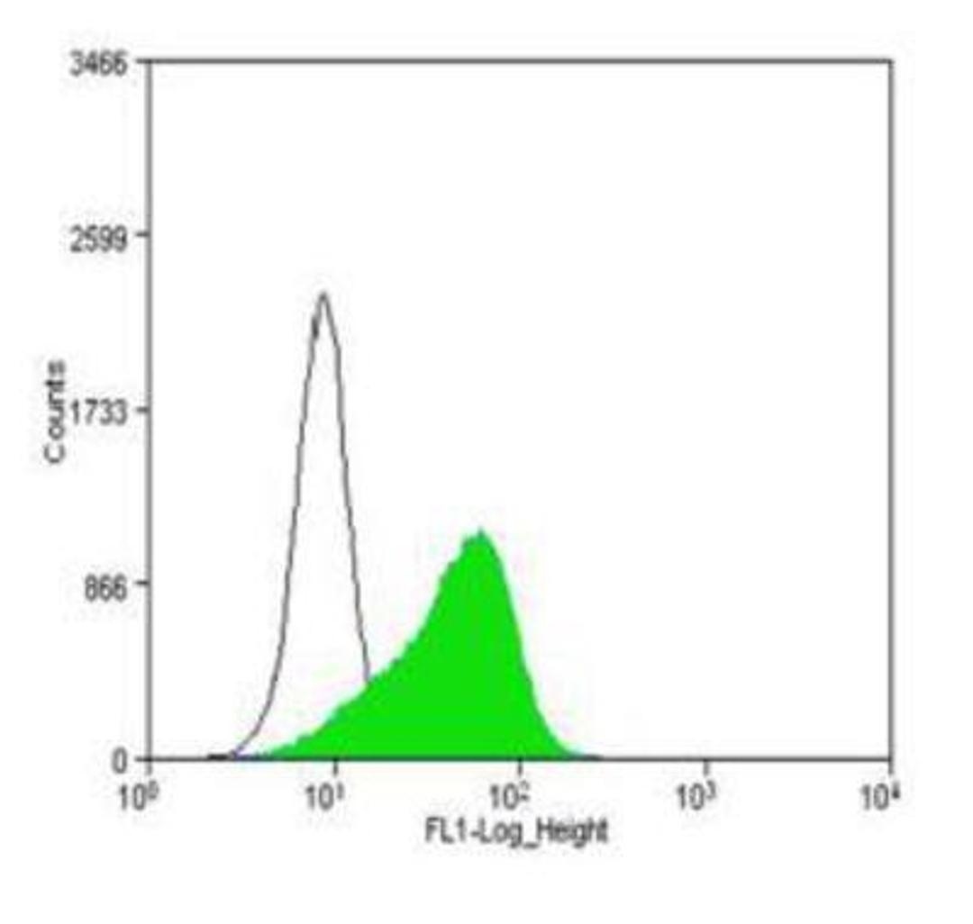 Flow Cytometry: CD34 Antibody (MEC 14.7) [NB600-1071] - CD34 (MEC 14.7) antibody was tested at 1:250 in WEHI-3 cells with DyLight 488 (green) alongside a matched isotype control (black).