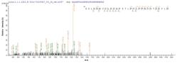 Based on the SEQUEST from database of E.coli host and target protein, the LC-MS/MS Analysis result of CSB-EP720284MO could indicate that this peptide derived from E.coli-expressed Mus musculus (Mouse) Vcan.
