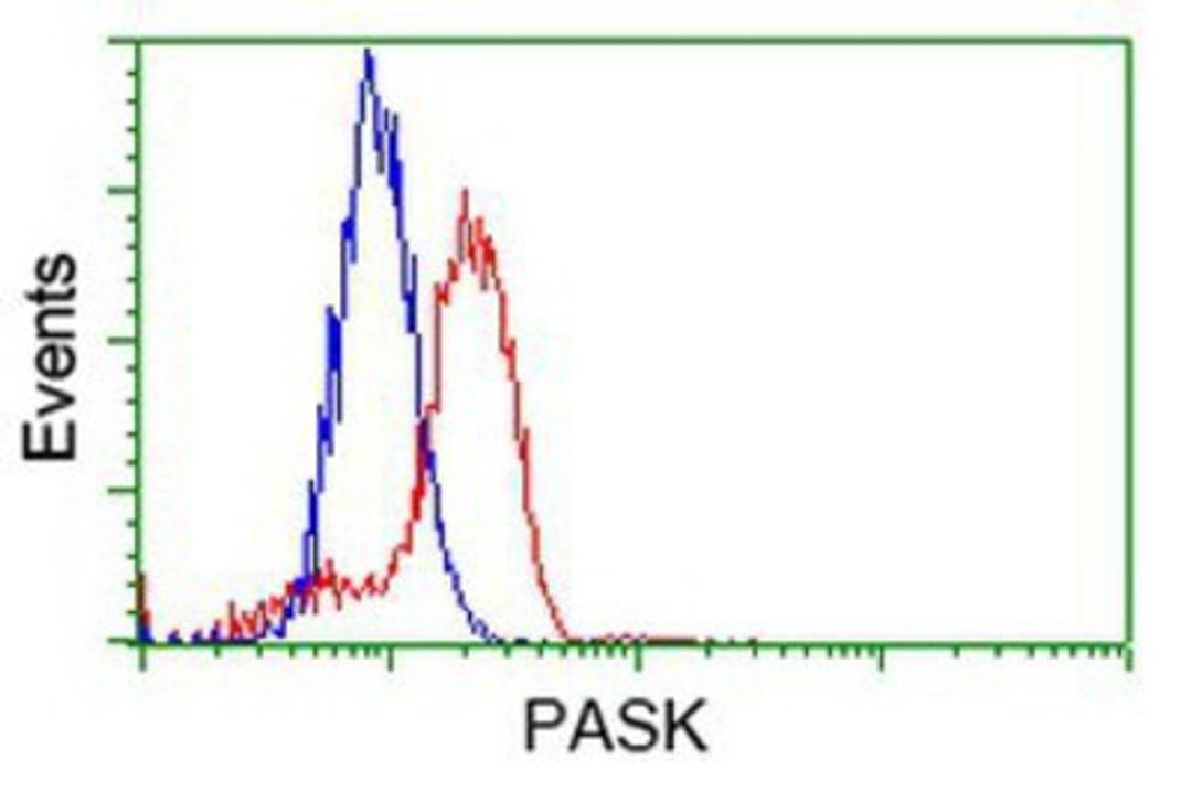 Flow Cytometry: PASK Antibody (8G9) [NBP2-02242] - Analysis of Hela cells, using anti-PASK antibody, (Red), compared to a nonspecific negative control antibody (Blue).