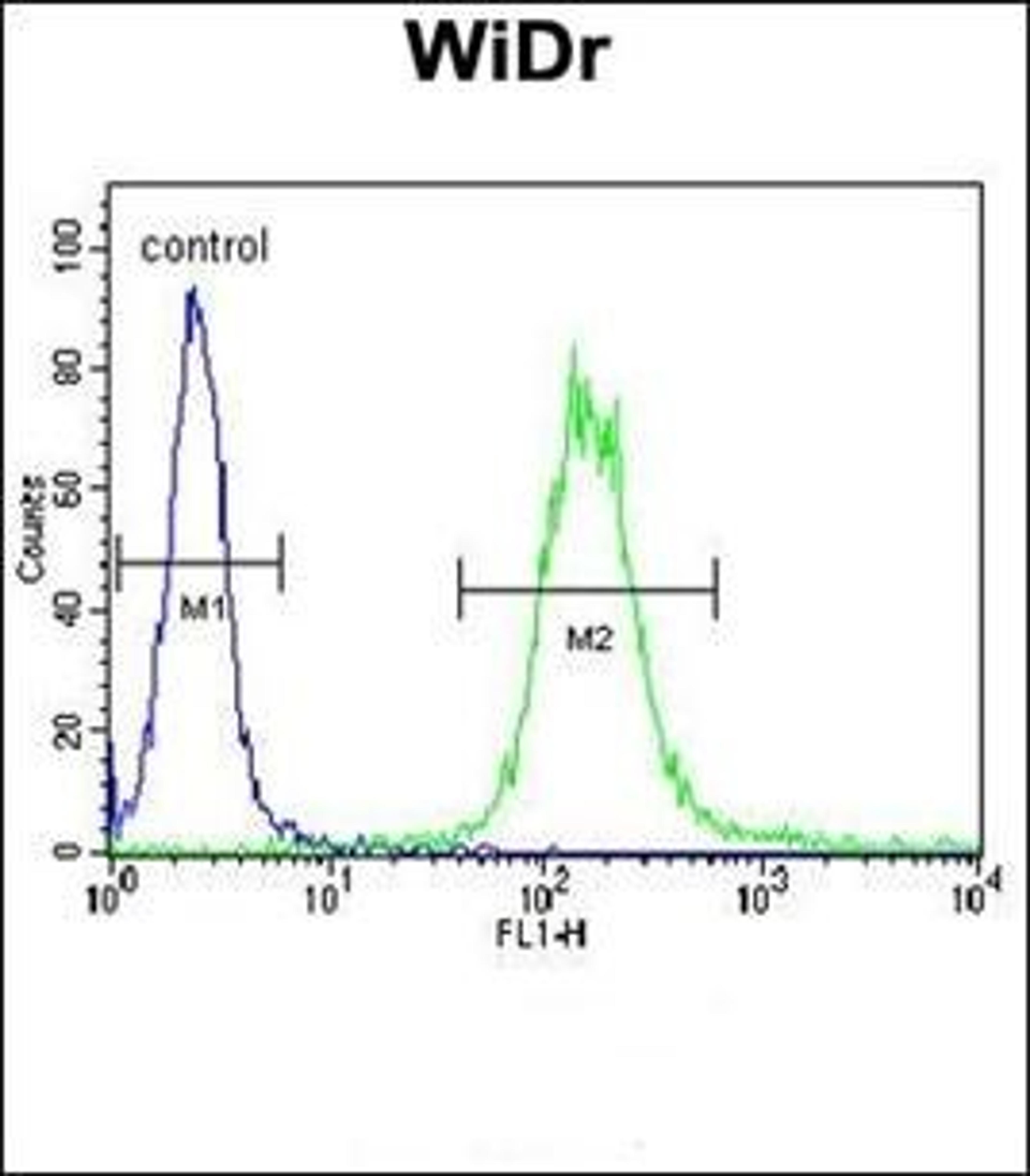 Flow cytometric analysis of WiDr cells using IGF1R antibody (primary antibody dilution at: 1:10-50)