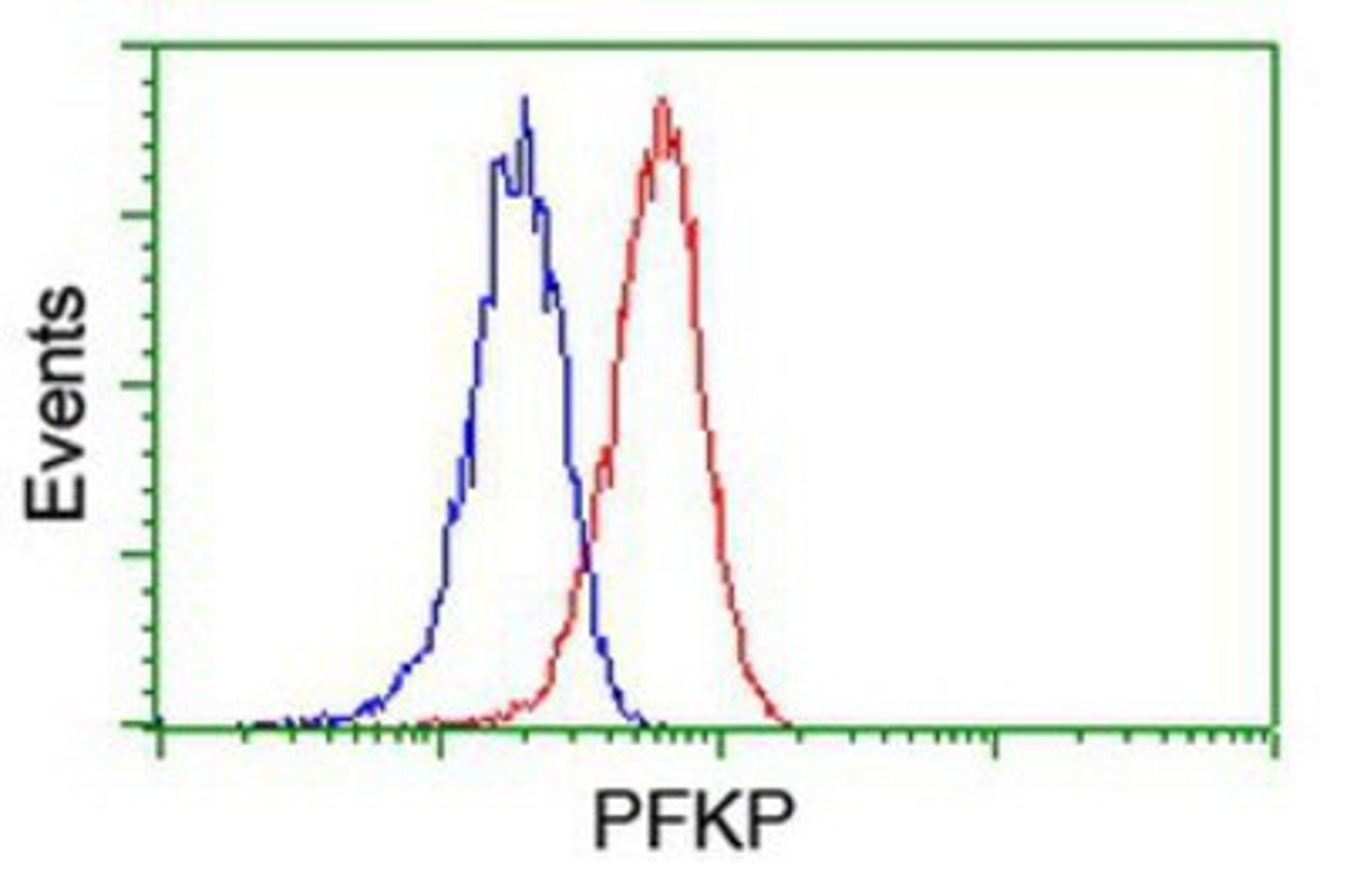 Flow Cytometry: PFKP Antibody (1D6) [NBP2-01539] - Analysis of Jurkat cells, using anti-PFKP antibody, (Red), compared to a nonspecific negative control antibody (Blue).