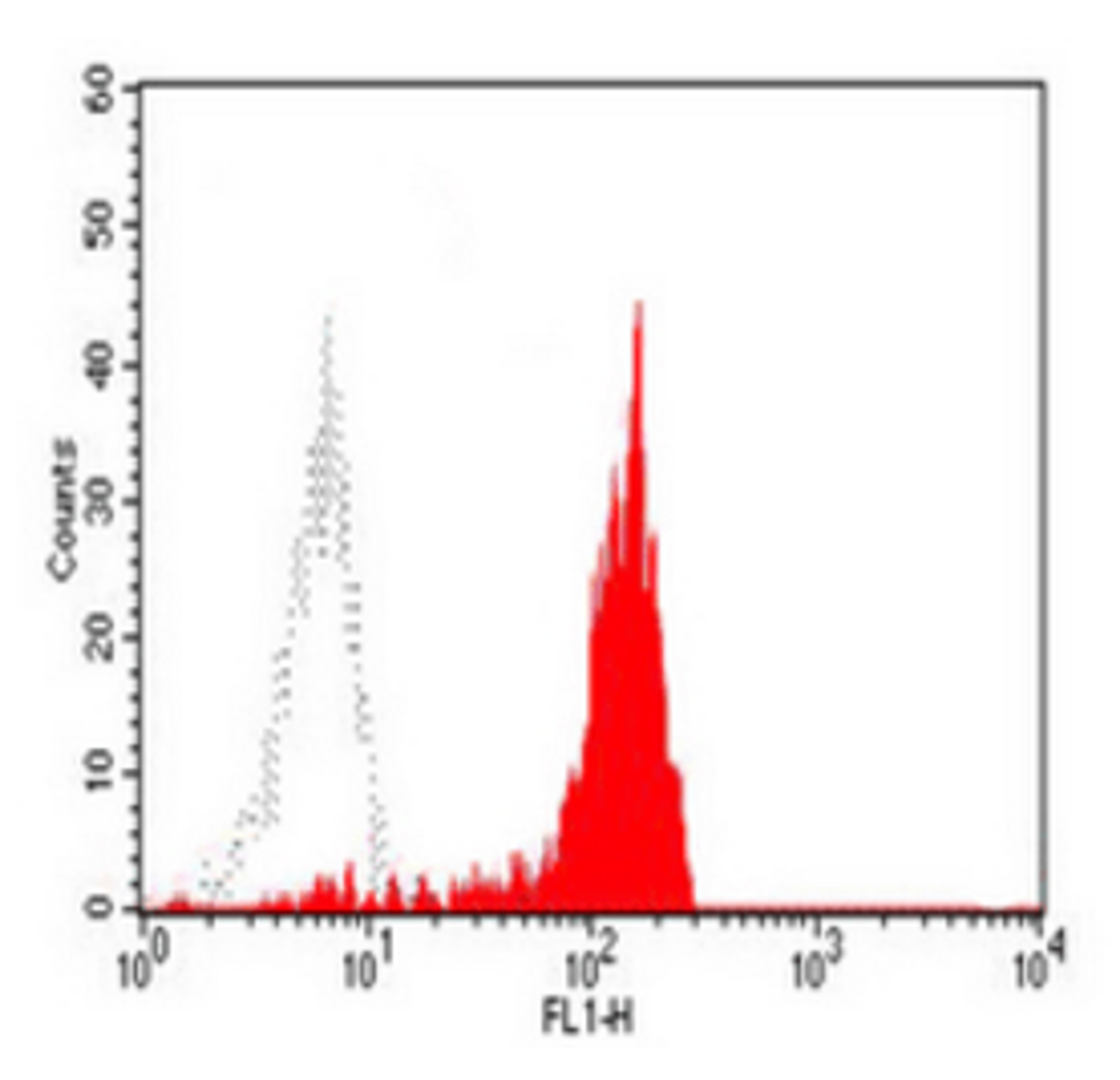 Flow cytometric analysis of human peripheral blood monocytes using CD64 antibody (FITC)