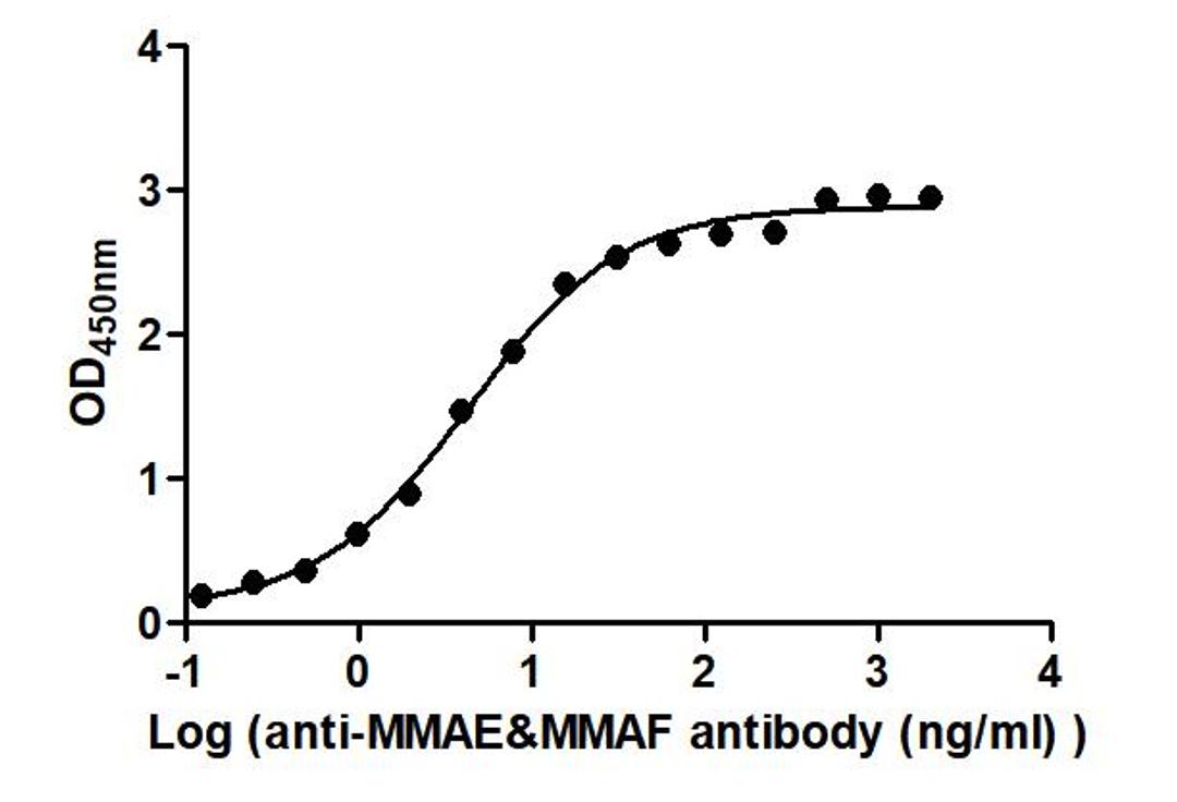The Binding Activity of Disitamab vedotin (Synonyms: RC48) with Anti-MMAE&MMAF antibody. Activity: Measured by its binding ability in a functional ELISA. Immobilized Disitamab vedotin (Synonyms: RC48) at 2 μg/mL can bind Anti-MMAE&MMAF antibody, the EC<sub>50</sub> is 3.523 to 5.356 ng/mL.
