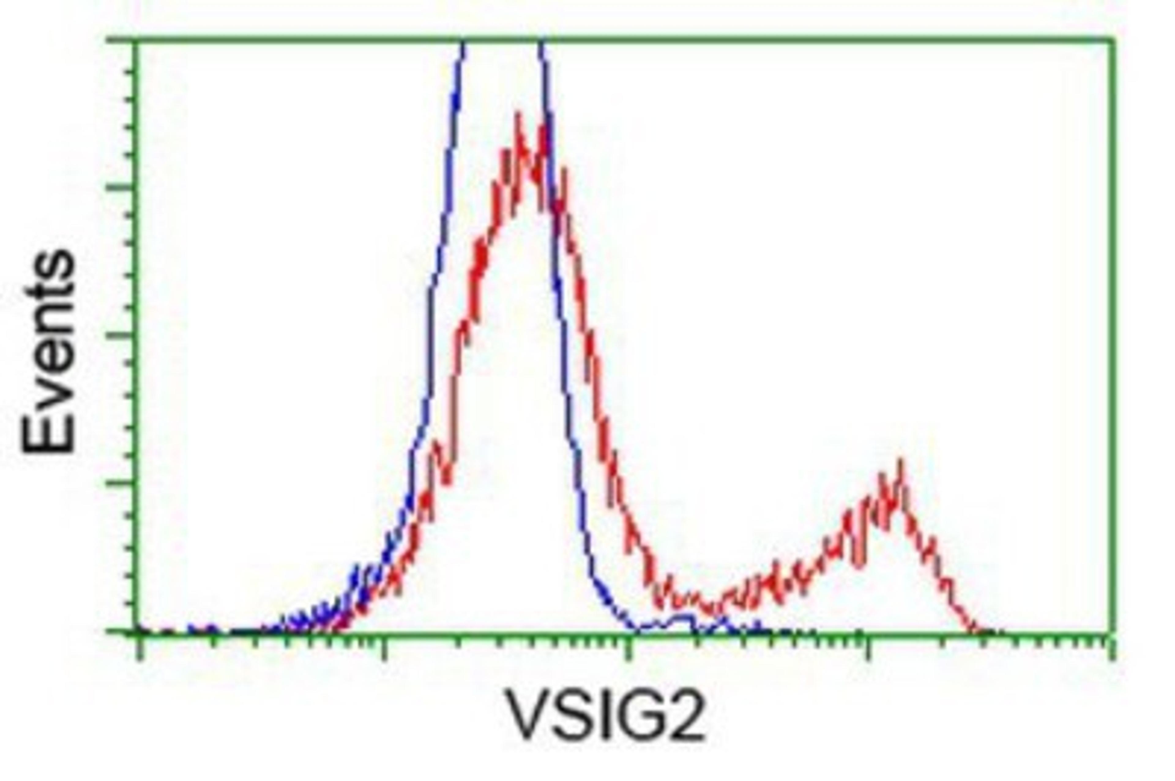 Flow Cytometry: VSIG2 Antibody (2D8) [NBP2-03376] - HEK293T cells transfected with either overexpression plasmid (Red) or empty vector control plasmid (Blue) were immunostained by anti-VSIG2 antibody, and then analyzed by flow cytometry.