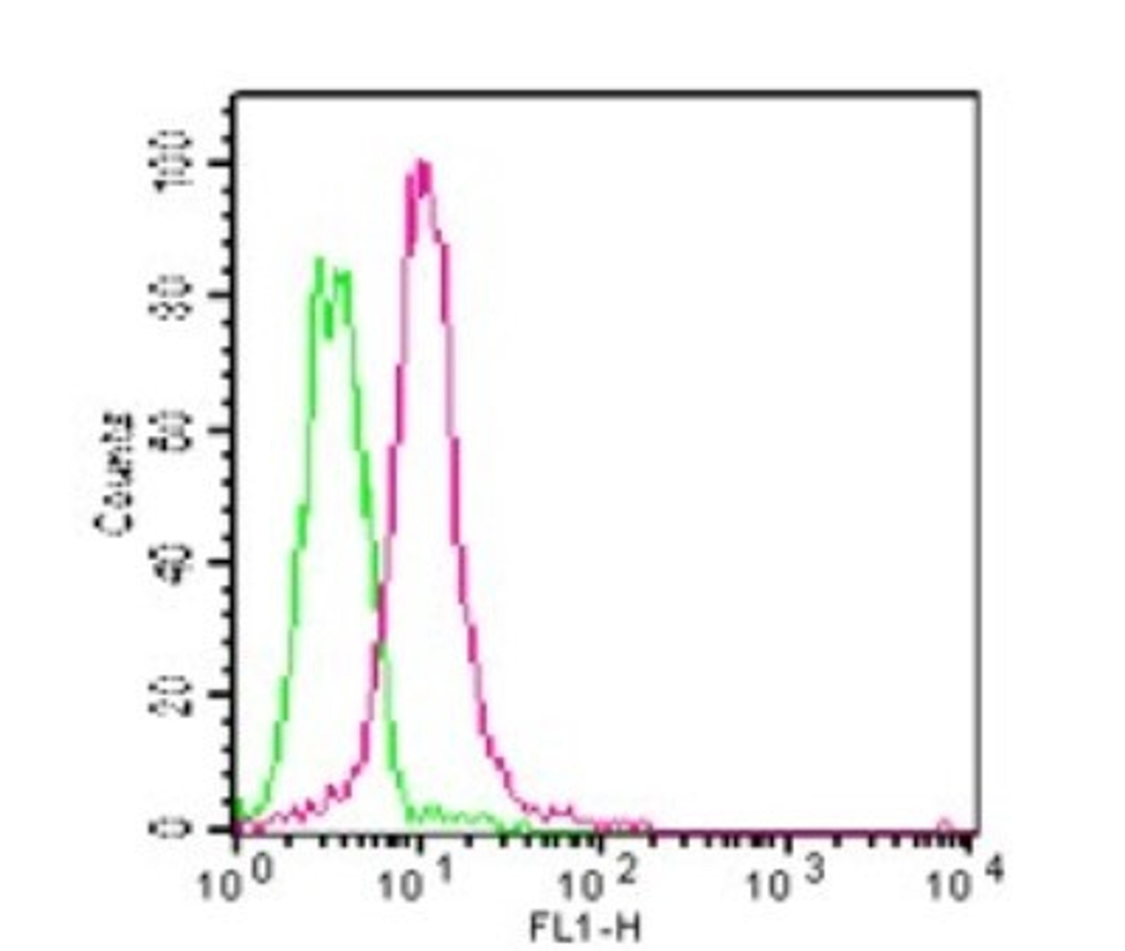 Flow (Intracellular): MyD88 Antibody (4D6) [NBP2-27369] - Analysis using the Alexa Fluor (R) 488 conjugate of NBP2-27369. Staining of MyD88 antibody in Jurkat cells using 10 ul (0.5 ug) of MyD88 antibody. Green represents isotype control (20108); red represents anti-MyD88 antibody.