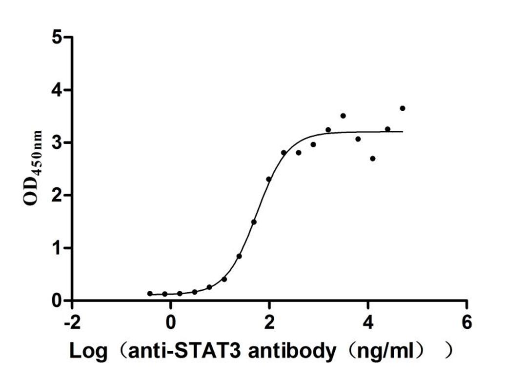 The Binding Activity of Human STAT3 with Anti-STAT3 Recombinant Antibody. Activity: Measured by its binding ability in a functional ELISA. Immobilized Human STAT3 (CSB-BP022812HU(A4)j7) at 2 μg/mL can bind Anti-STAT3 recombinant antibody , the EC<sub>50</sub> is 41.31-75.59 ng/mL.