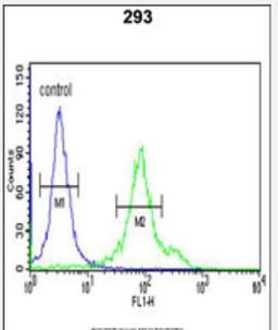 Flow Cytometry: CYP27B1 Antibody [NBP2-29942] - Flow cytometric analysis of 293 cells (right histogram) compared to a negative control cell (left histogram).FITC-conjugated goat-anti-rabbit secondary antibodies were used for the analysis.