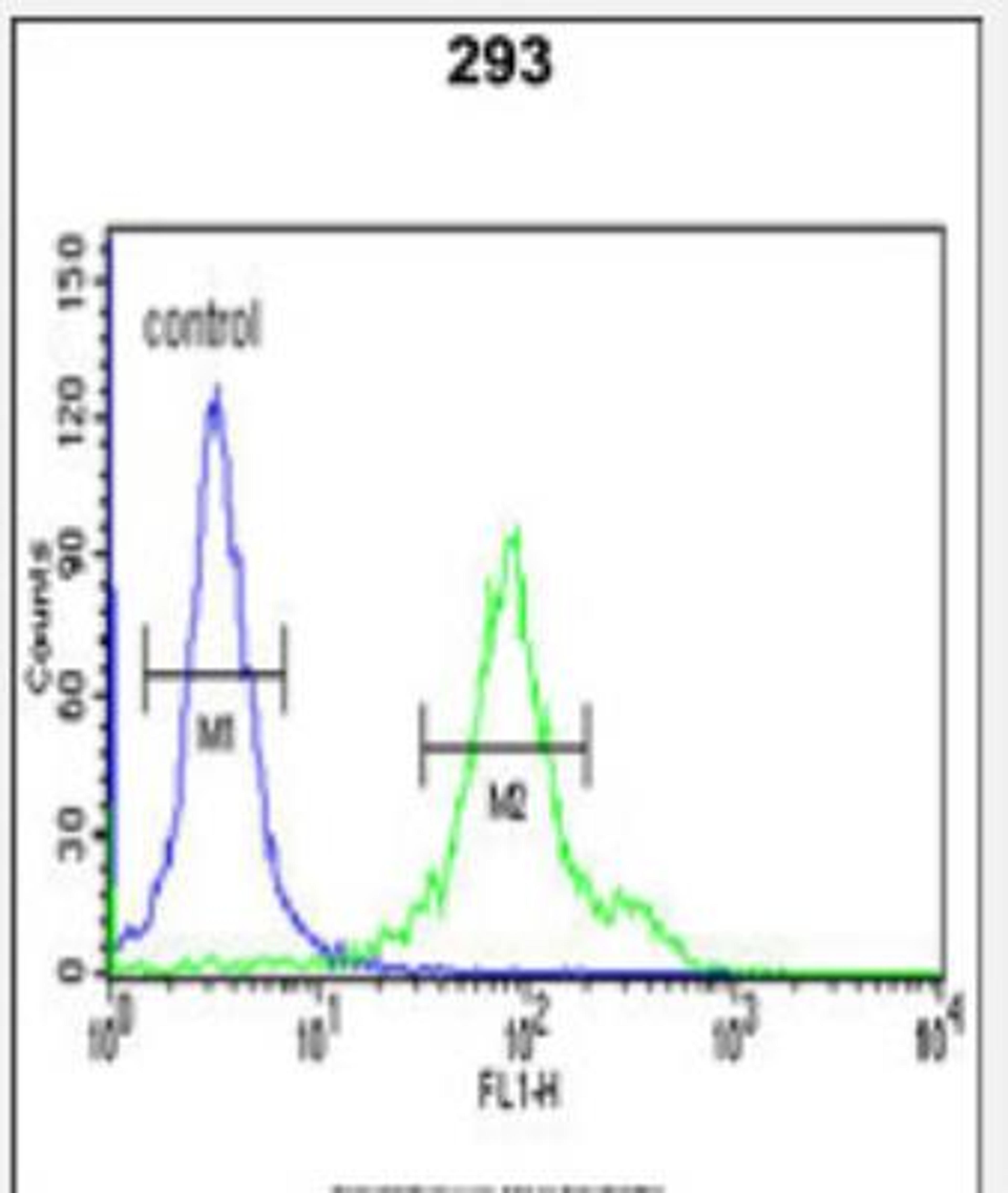 Flow Cytometry: CYP27B1 Antibody [NBP2-29942] - Flow cytometric analysis of 293 cells (right histogram) compared to a negative control cell (left histogram).FITC-conjugated goat-anti-rabbit secondary antibodies were used for the analysis.