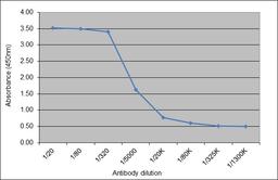 ELISA analysis of recombinant Human IgG2 kappa 