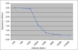 ELISA analysis of recombinant Human IgG2 kappa