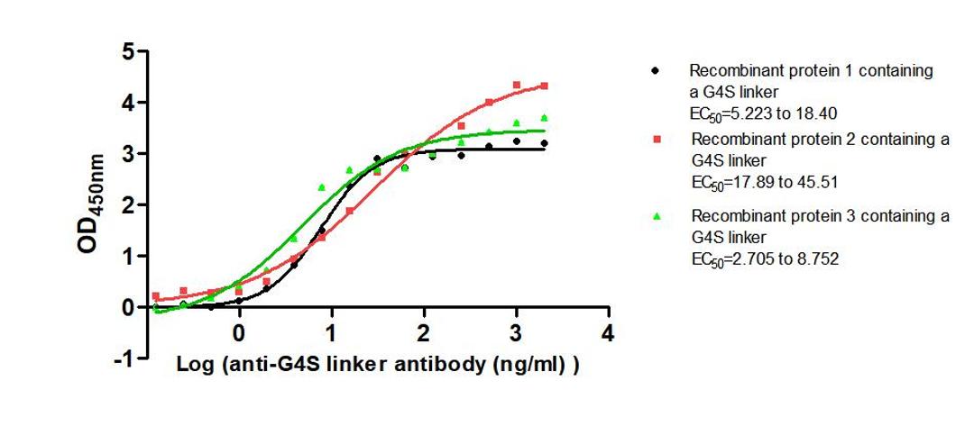 The Binding Activity of G4S linker with Anti-G4S linker antibody. Activity: Measured by its binding ability in a functional ELISA. Immobilized Three recombinant proteins containing G4S linker at 2 μg/mL can bind Anti-G4S linker antibody. The EC<sub>50</sub> is 5.223 to 18.40 ng/mL, 17.89 to 45.51 ng/mL and 2.705 to 8.752 ng/mL.