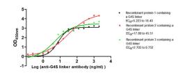The Binding Activity of G4S linker with Anti-G4S linker antibody. Activity: Measured by its binding ability in a functional ELISA. Immobilized Three recombinant proteins containing G4S linker at 2 μg/mL can bind Anti-G4S linker antibody. The EC<sub>50</sub> is 5.223 to 18.40 ng/mL, 17.89 to 45.51 ng/mL and 2.705 to 8.752 ng/mL.