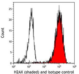 Detection of human H2AX (shaded) in HEK293T cells by flow cytometry.