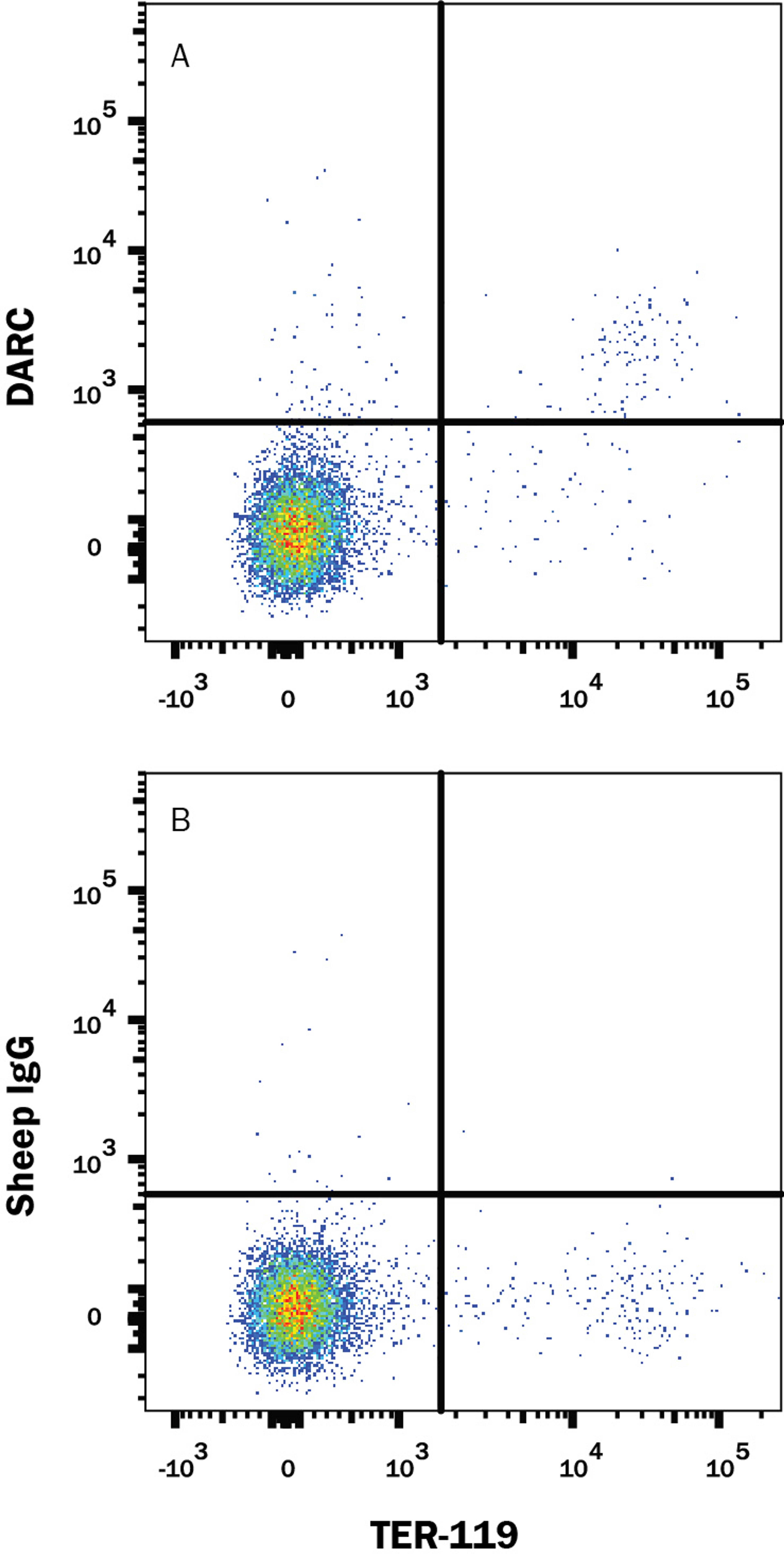 Detection of DARC in Mouse Splenocytes by Flow Cytometry.