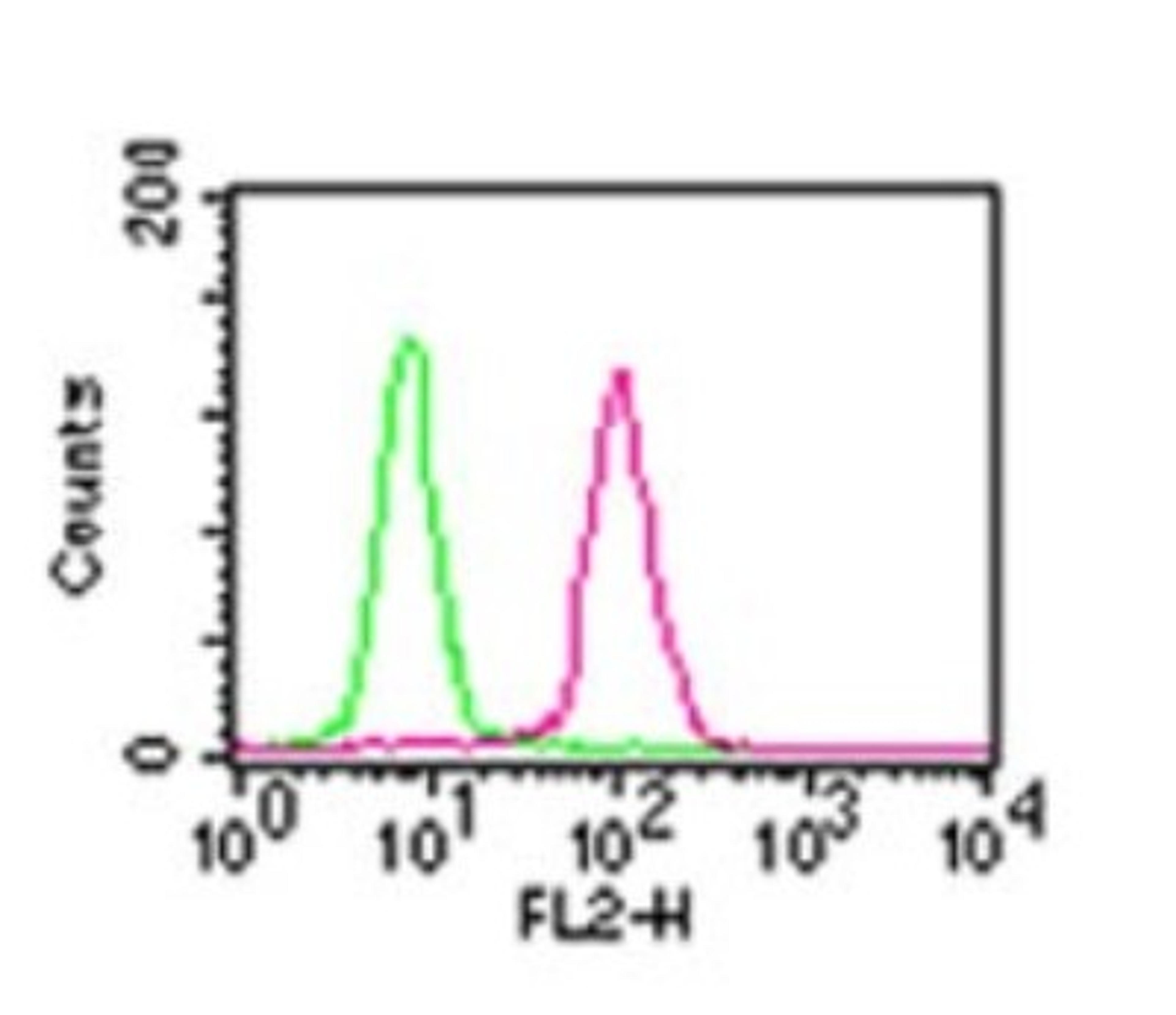 Flow Cytometry: RelA/NFkB p65 Antibody (112A1021) [NB100-56712] - Intracellular staining of 293 HEK cells using 0.5 ug of p65 antibody. Green histogram represents the isotype control (p65) antibody. This NFkB p65 antibody was used for this test with an anti-mouse IgG PE conjugated secondary antibody.