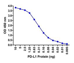 A sandwich ELISA was performed using the anti-PD-L1 mAb RF16038 (5 &#956;g/ml) as the capture antibody.  Biotin-labeled anti-PD-L1 mAb RF16032-biotin (1 &#956;g/ml) and streptavidin-HRP (0.1 &#956;g/ml) were used for detection.  Detection range is from 10