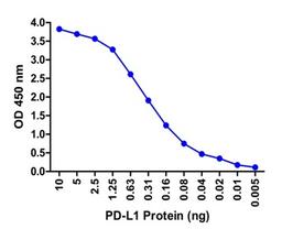 A sandwich ELISA was performed using the anti-PD-L1 mAb RF16038 (5 μg/ml) as the capture antibody. Biotin-labeled anti-PD-L1 mAb RF16032-biotin (1 μg/ml) and streptavidin-HRP (0.1 μg/ml) were used for detection. Detection range is from 10