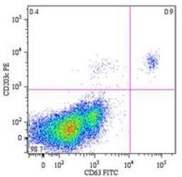 Flow Cytometry: CD63 Antibody (MEM-259) [NB100-77913] - Analysis using the FITC conjugate of NB100-77913. Staining of peripheral blood lymphocytes from a patient with allergy to bee venom after stimulation with bee venom, stained with anti-human CD63 (MEM-259) FITC.