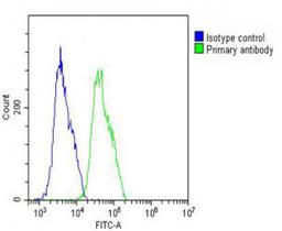 Overlay histogram showing MCF-7 cells stained with Antibody (green line). The cells were fixed with 2% paraformaldehyde (10 min) and then permeabilized with 90% methanol for 10 min. The cells were then icubated in 2% bovine serum albumin to block non-spec