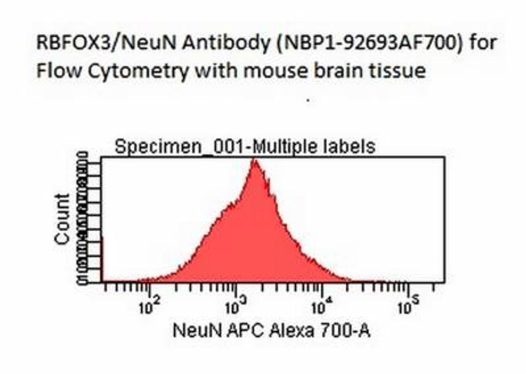 Flow Cytometry: RBFOX3/NeuN Antibody (1B7) [NBP1-92693] - Analysis using the Alexa Fluor (R) 700 conjugate of NBP1-92693. Staining of mouse brain cells - Trypsin-EDTA digestion, 2% PFA fixation, primary used at 1:10 dilution/ 1 hour RT incubation (Image provided by Dr Xingrao Ke from Dept. of Pediatrics at Medical College of Wisconsin; see the product review on the Alexa Fluor 700 version of this antibody for methodology details).