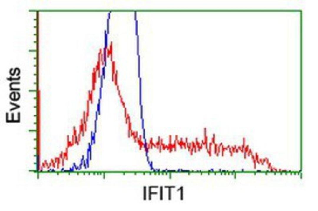 Flow Cytometry: IFIT1 Antibody (3G8) [NBP2-02340] - HEK293T cells transfected with either overexpression plasmid (Red) or empty vector control plasmid (Blue) were immunostained by anti-IFIT1 antibody, and then analyzed by flow cytometry.