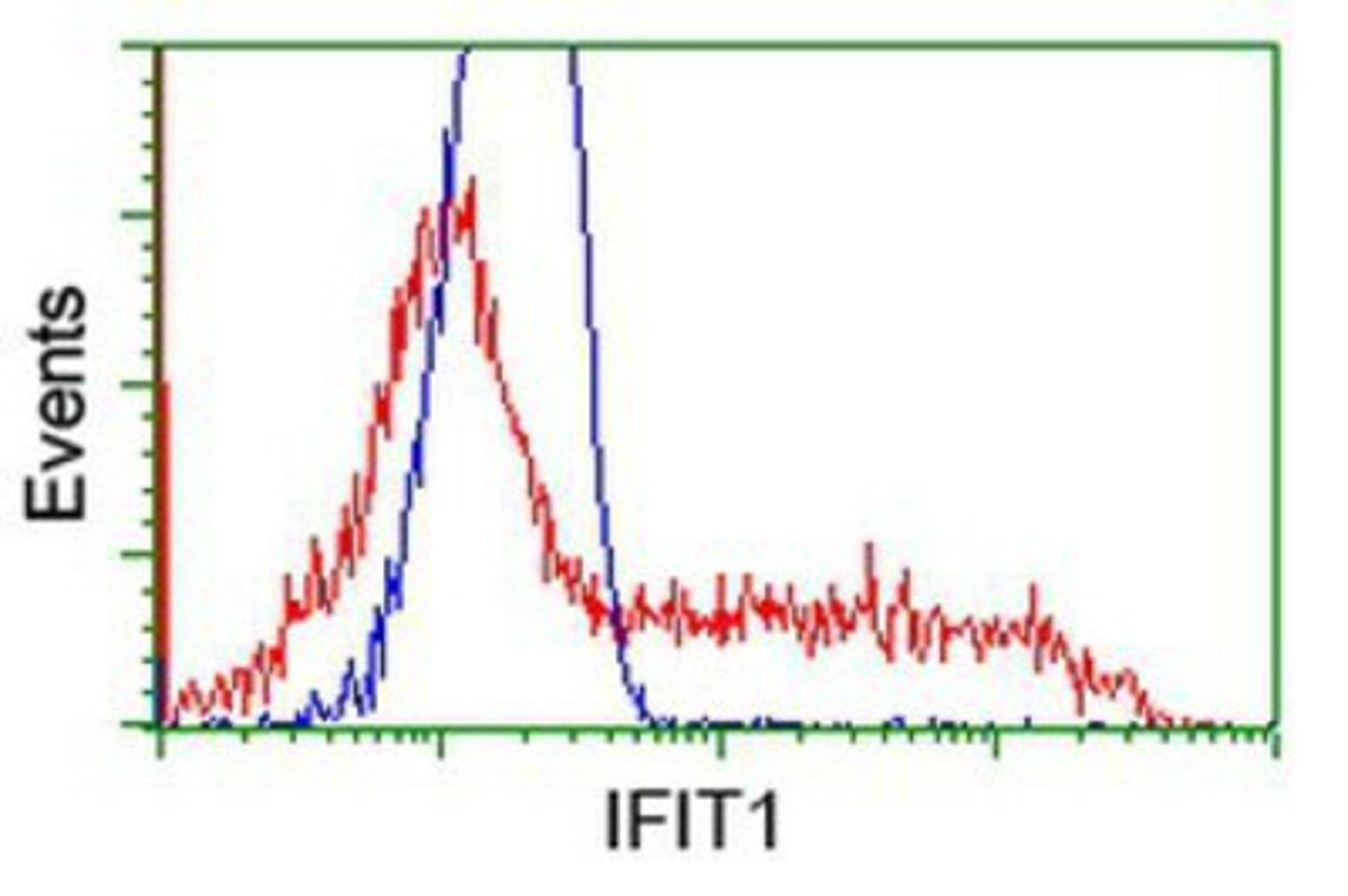 Flow Cytometry: IFIT1 Antibody (3G8) [NBP2-02340] - HEK293T cells transfected with either overexpression plasmid (Red) or empty vector control plasmid (Blue) were immunostained by anti-IFIT1 antibody, and then analyzed by flow cytometry.