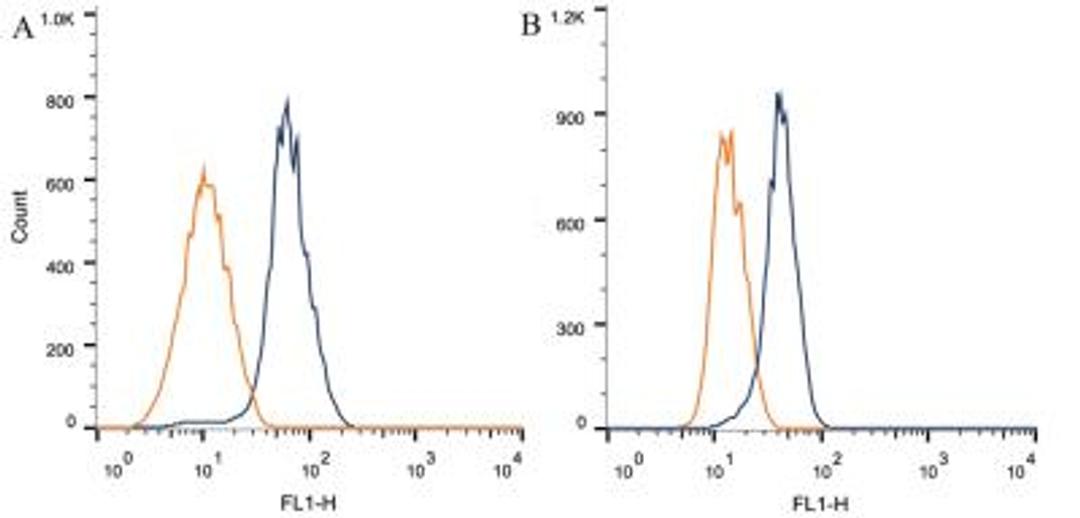 Flow Cytometry: Notch1 Antibody (mN1A) [NB100-78486] - Intracellular flow cytometric staining of 1 x 10^6 CHO (A) and MCF-7 (B) cells using Notch1 antibody (dark blue). Isotype control shown in orange. An antibody concentration of 1 ug/1x10^6 cells was used.