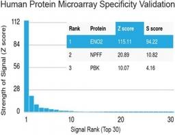 Analysis of HuProt(TM) microarray containing more than 19,000 full-length human proteins using Neuron Specific Enolase antibody (clone ENO2/1462). Z- and S- score: The Z-score represents the strength of a signal that an antibody (in combination with a fl