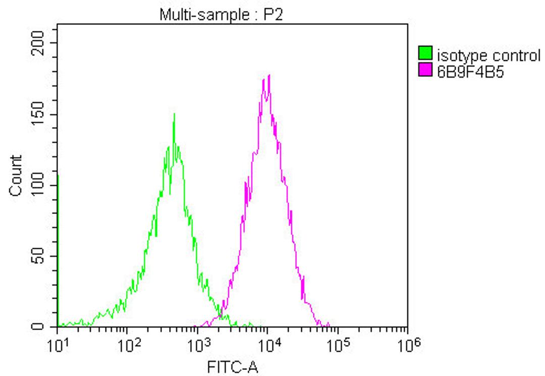 Overlay histogram showing Jurkat cells stained with CSB-MA004960A1m (red line) at 1:200. The cells were fixed in 4% formaldehyde and permeated by 0.2% TritonX-100. Then 10% normal goat serum was Incubated to block non-specific protein-protein interactions followed by the antibody (11µg/1*10<sup>6</sup>cells) for 1 h at 4°C. The secondary antibody used was FITC-conjugated Goat Anti-Mouse IgG(H+L) at 1/100 dilution for 30min at 4°C. Isotype control antibody (green line) was mouse IgG1 (1µg/1*10<sup>6</sup> cells) used under the same conditions. Acquisition of >10,000 events was performed.