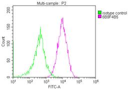 Overlay histogram showing Jurkat cells stained with CSB-MA004960A1m (red line) at 1:200. The cells were fixed in 4% formaldehyde and permeated by 0.2% TritonX-100. Then 10% normal goat serum was Incubated to block non-specific protein-protein interactions followed by the antibody (11µg/1*10<sup>6</sup>cells) for 1 h at 4°C. The secondary antibody used was FITC-conjugated Goat Anti-Mouse IgG(H+L) at 1/100 dilution for 30min at 4°C. Isotype control antibody (green line) was mouse IgG1 (1µg/1*10<sup>6</sup> cells) used under the same conditions. Acquisition of >10,000 events was performed.