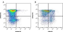 Figure A. mouse anti porcine CD45a. Figure B. mouse anti porcine CD45a and mouse anti porcine CD8a