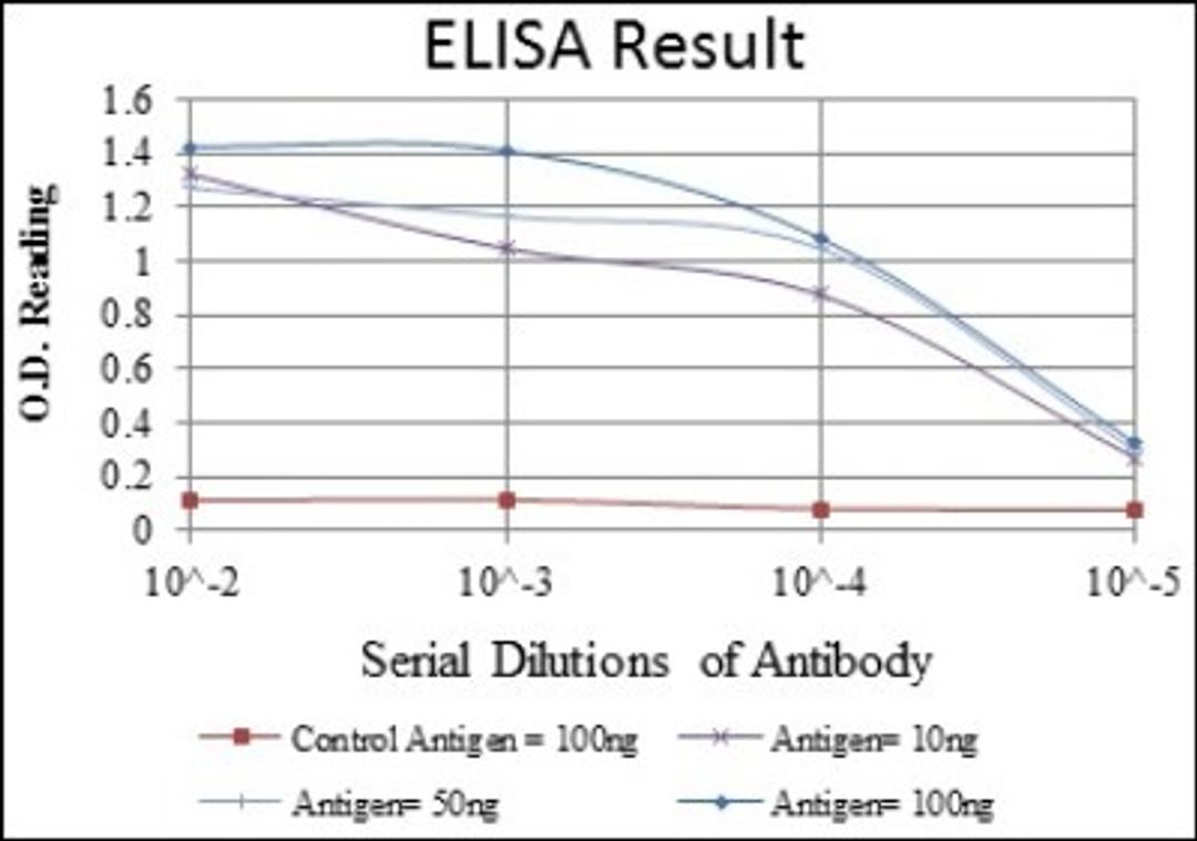 ELISA: MMP-1 Antibody (6A5) [NBP2-22123] - Red: Control Antigen (100ng); Purple: Antigen (10ng); Green: Antigen (50ng); Blue: Antigen (100ng).