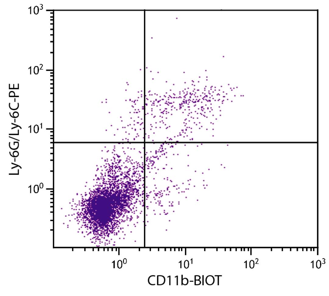 BALB/c mouse splenocytes were stained with Rat Anti-Mouse CD11b-BIOT (Cat. No. 98-634) and Rat Anti-Mouse Ly-6G/Ly-6C-PE followed by Streptavidin-FITC .