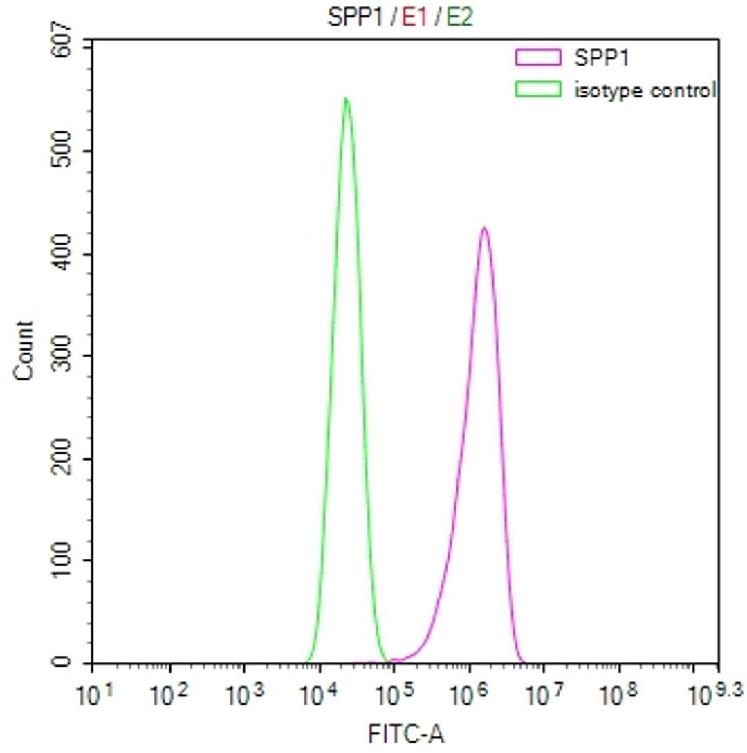 Overlay Peak curve showing A549 cells stained with CSB-RA022603MA1HU (red line) at 1:100. Then 10% normal goat serum was Incubated to block non-specific protein-protein interactions followed by the antibody (1µg/1*10<sup>6</sup>cells) for 45 min at 4°C. The secondary antibody used was FITC-conjugated Goat Anti-Mouse IgG(H+L) at 1/200 dilution for 35 min at 4°C. Isotype control antibody (green line) was mouse IgG1 (1µg/1*10<sup>6</sup>cells) used under the same conditions. Acquisition of >10, 000 events was performed.
