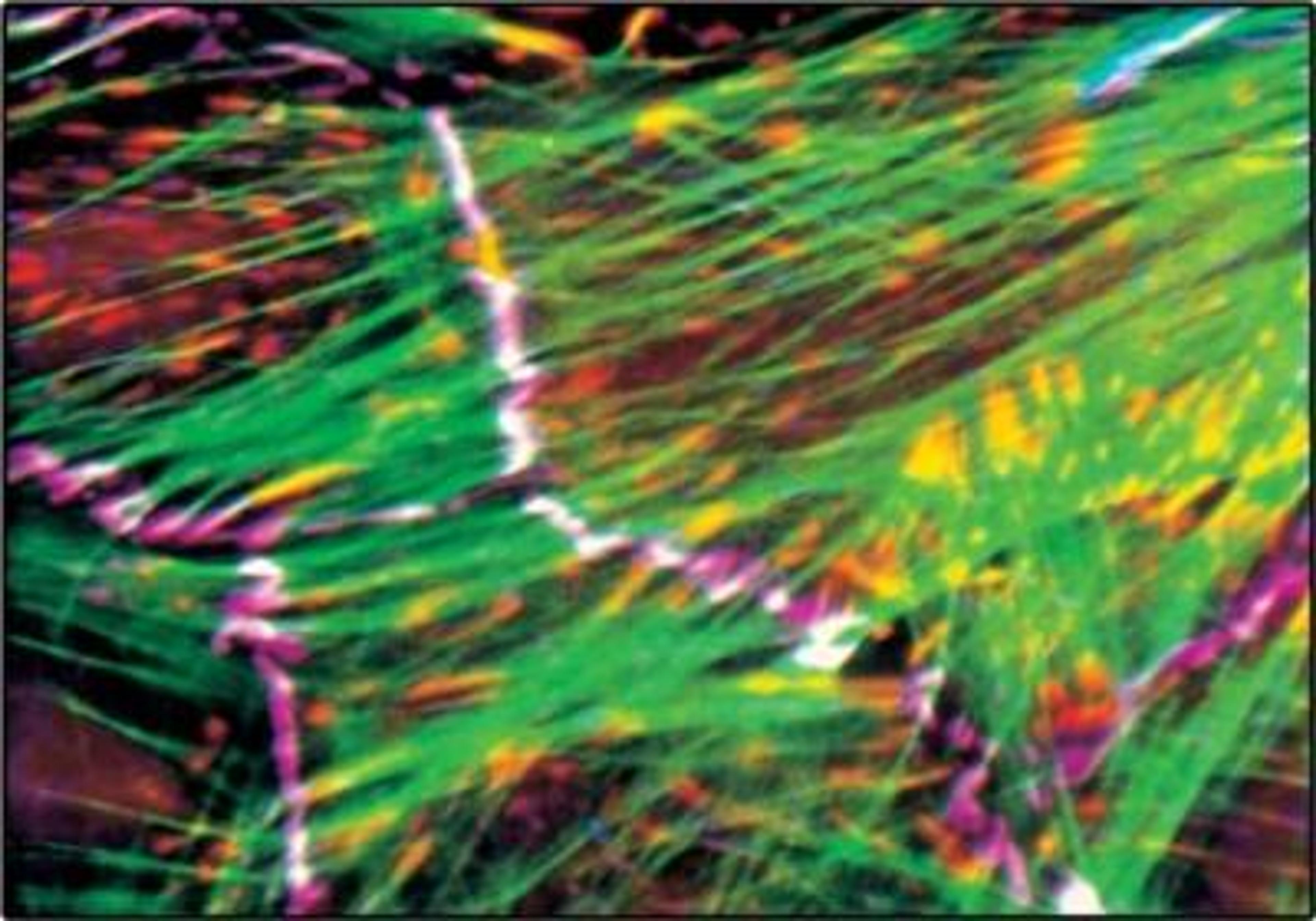 Immunocytochemistry/Immunofluorescence: N-Cadherin Antibody [NB200-592] - A computer-generated micrograph showing the superimposed immunofluorescent staining of chicken lens cells using FITC-phalloidin (green), Monoclonal Anti-Human Vinculin, clone No. hVIN-1  (red) and Rabbit Anti-Pan Cadherin  (blue). Focal contacts appear yellow and intercellular junctions white.