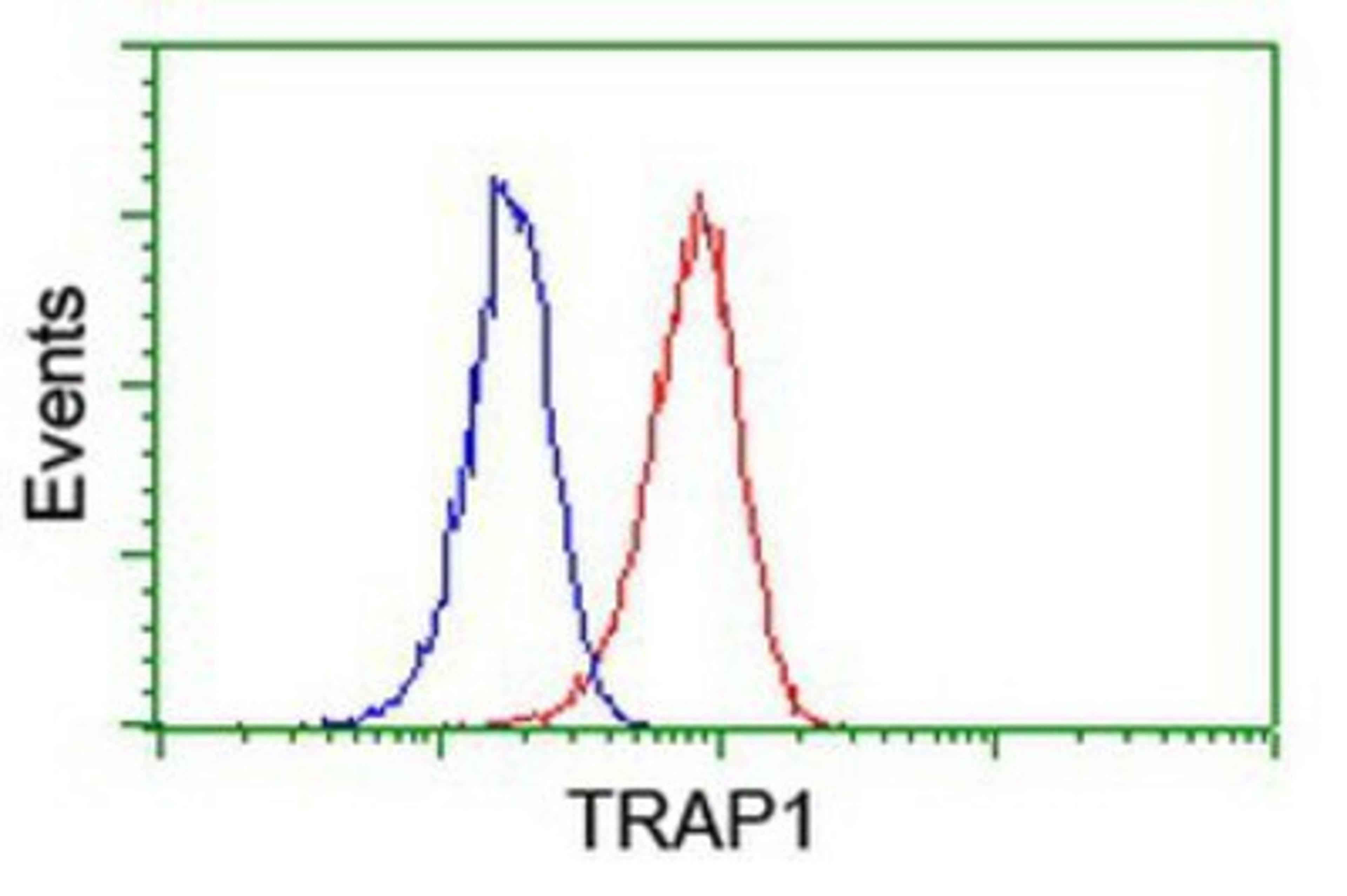 Flow Cytometry: TRAP1 Antibody (1H8) [NBP2-01707] - Analysis of Jurkat cells, using anti-TRAP1 antibody, (Red), compared to a nonspecific negative control antibody (Blue).