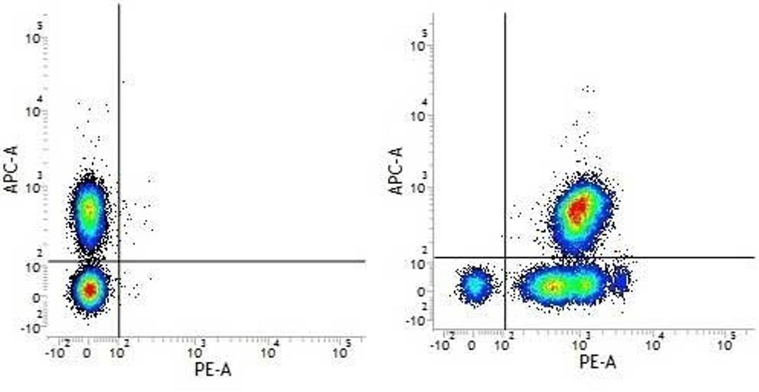 Figure A. Mouse anti Human CD3. Figure B. Mouse anti Human CD3 and Mouse anti Human CD46. 