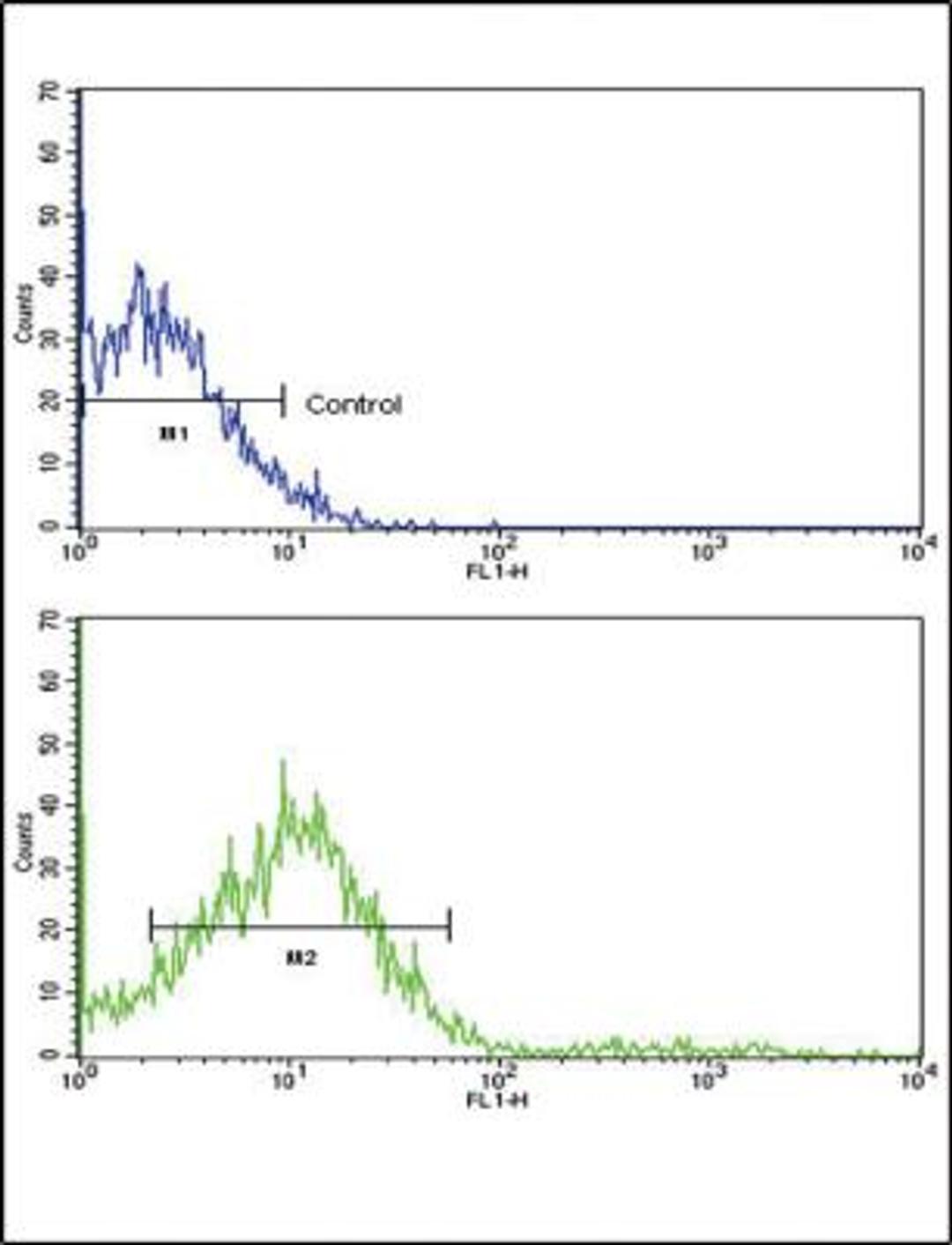 Flow Cytometry: ROR2 Antibody [NBP2-30089] - NCI-H292 cells using (N-term)(bottom histogram) compared to a negative control cell (top histogram). FITC-conjugated goat-anti-rabbit secondary antibodies were used for the analysis.