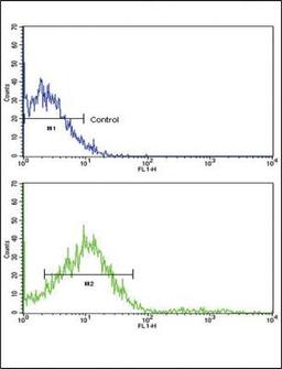 Flow Cytometry: ROR2 Antibody [NBP2-30089] - NCI-H292 cells using (N-term)(bottom histogram) compared to a negative control cell (top histogram). FITC-conjugated goat-anti-rabbit secondary antibodies were used for the analysis.