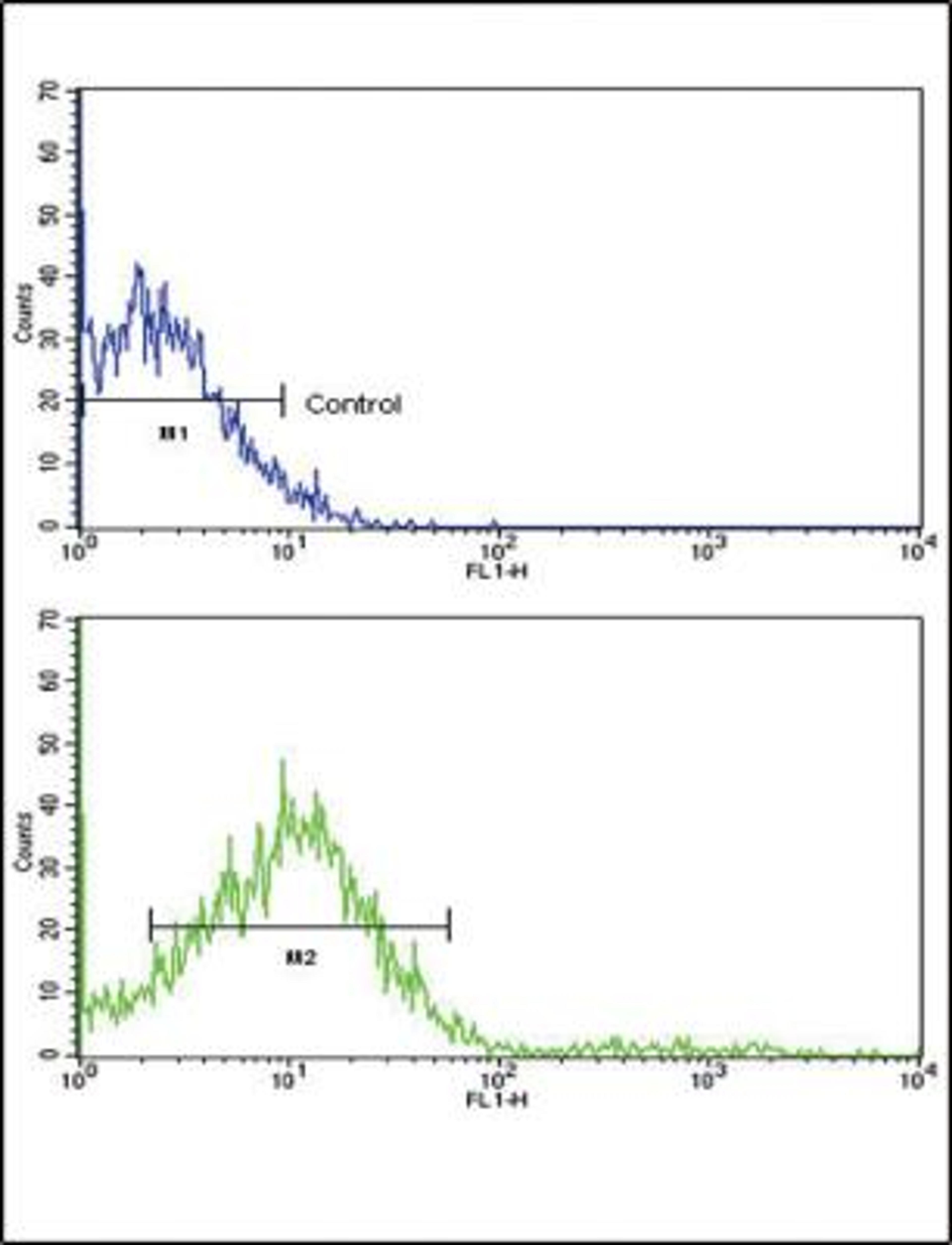 Flow Cytometry: ROR2 Antibody [NBP2-30089] - NCI-H292 cells using (N-term)(bottom histogram) compared to a negative control cell (top histogram). FITC-conjugated goat-anti-rabbit secondary antibodies were used for the analysis.