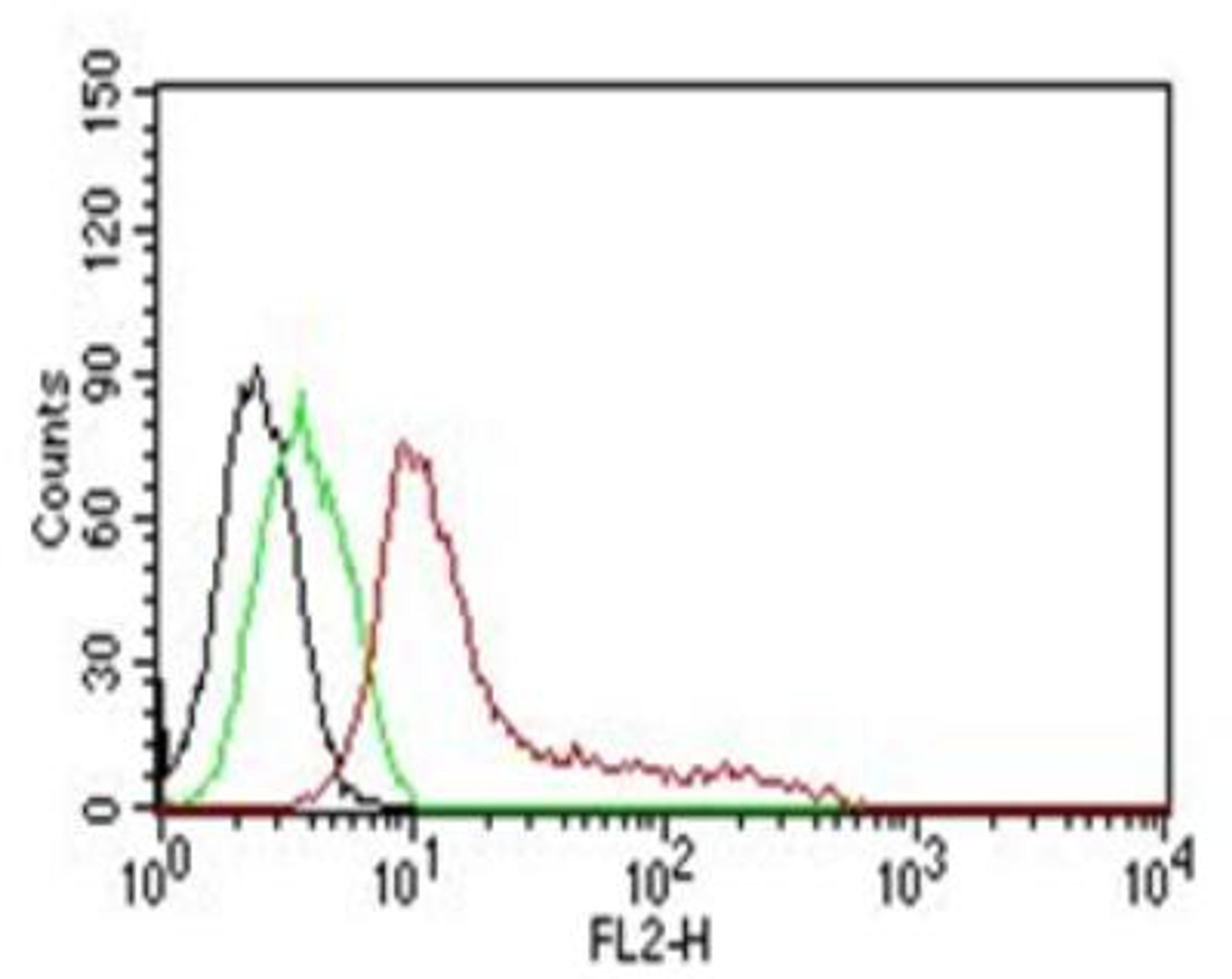 Flow Cytometry: Human Nuclear Antigen Antibody (235-1) [NBP2-34342] - Analysis of human nuclear antigen on MCF-7 cells. Black: Cells alone; Green: Isotype Control; Red: PE-labeled HNA MAb (235-1).