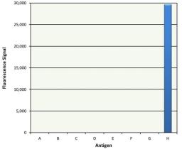 Human anti Trastuzumab (Herceptin®) specificity ELISA