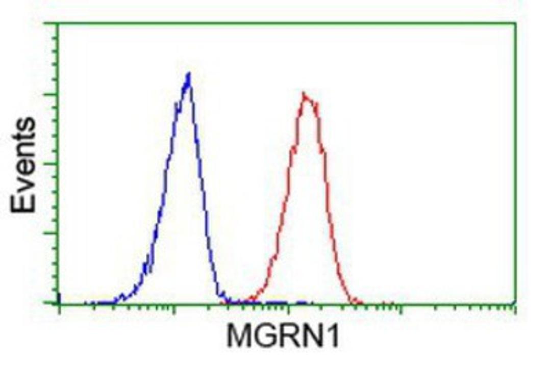 Flow Cytometry: MGRN1 Antibody (3C3) [NBP2-00586] - Analysis of Hela cells, using anti-MGRN1 antibody, (Red), compared to a nonspecific negative control antibody (Blue).