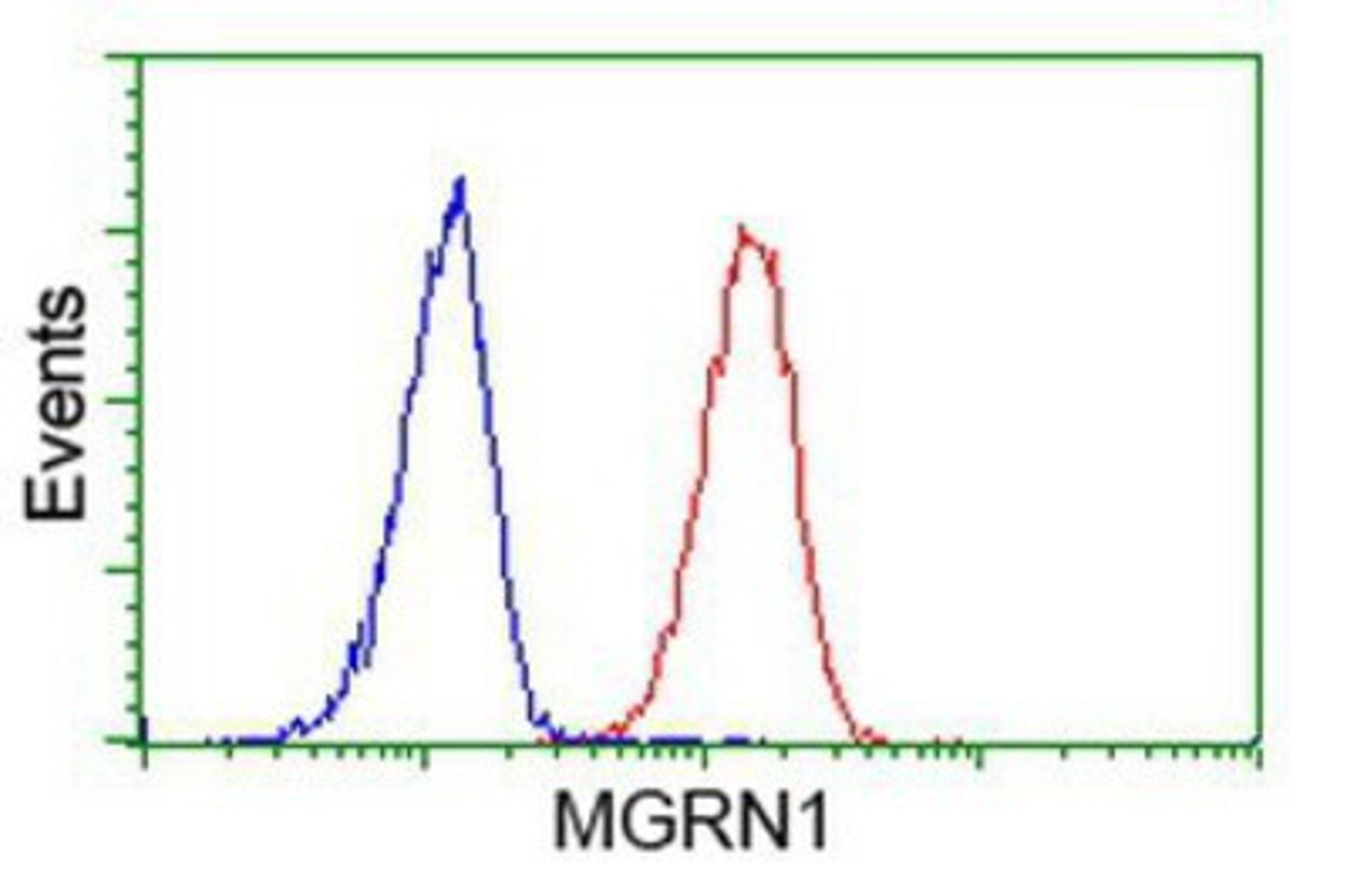 Flow Cytometry: MGRN1 Antibody (3C3) [NBP2-00586] - Analysis of Hela cells, using anti-MGRN1 antibody, (Red), compared to a nonspecific negative control antibody (Blue).