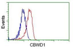 Flow Cytometry: CBWD1 Antibody (4D4) [NBP2-02931] - Analysis of Hela cells, using anti-CBWD1 antibody, (Red), compared to a nonspecific negative control antibody (Blue).