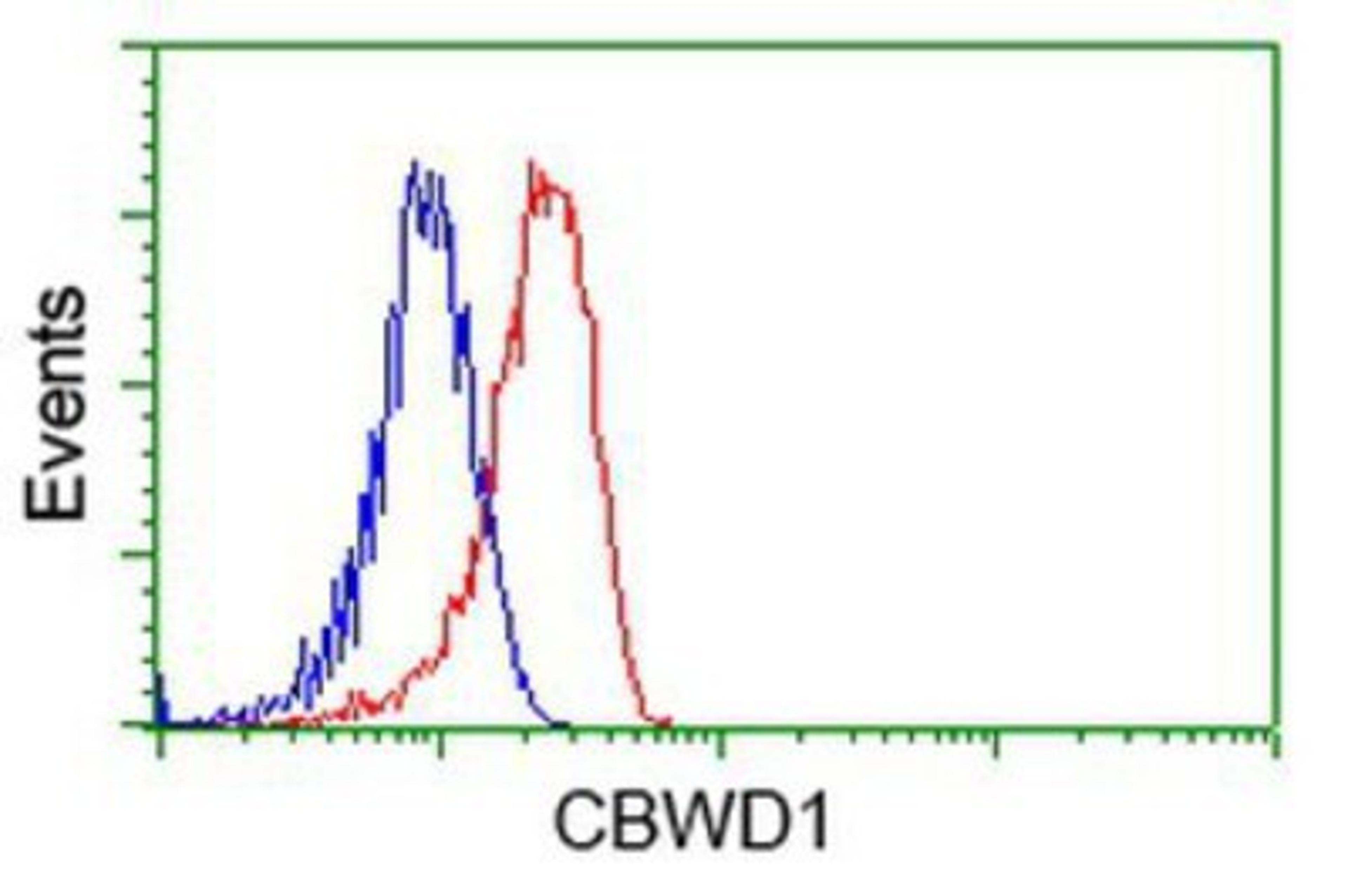 Flow Cytometry: CBWD1 Antibody (4D4) [NBP2-02931] - Analysis of Hela cells, using anti-CBWD1 antibody, (Red), compared to a nonspecific negative control antibody (Blue).