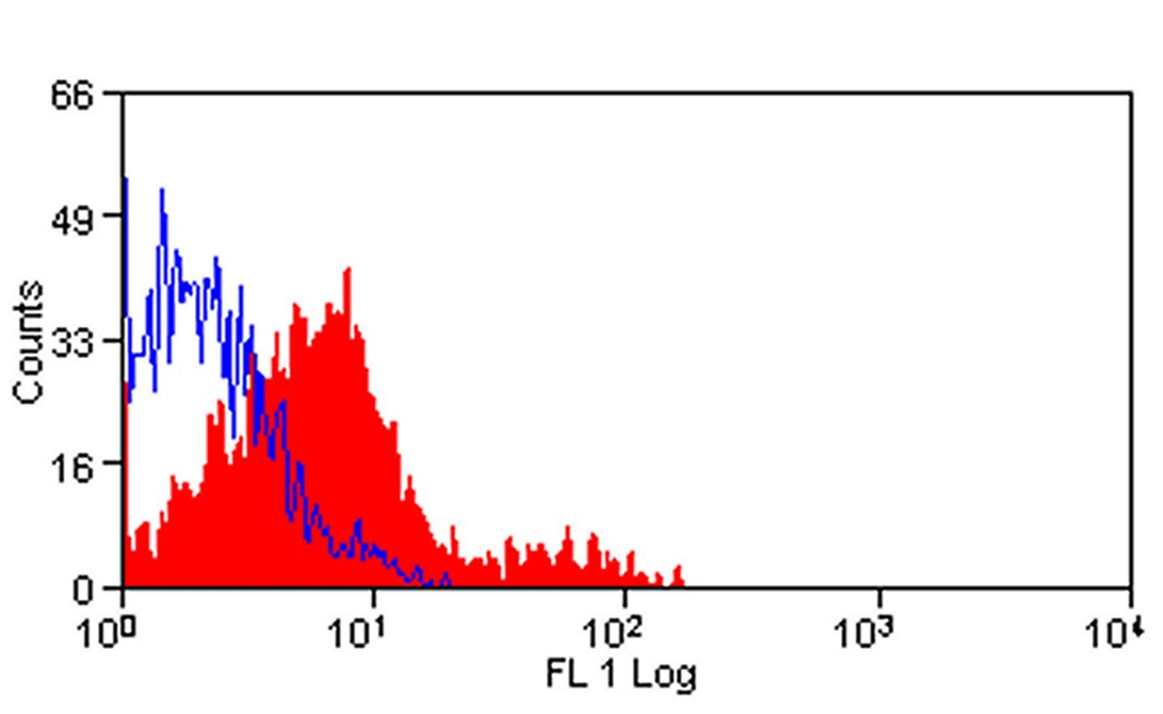 Porcine Lymphocytes stained with Mouse anti Porcine CD117: Alexa Fluor® 488 (MCA2598A488)